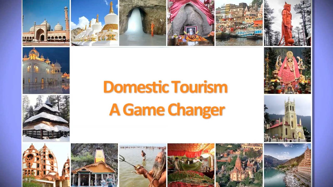 meaning of domestic tourist