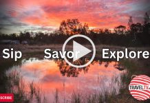 Sip, Savor, and Explore (November 28, 2025)