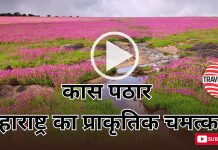 Kaas Plateau: Maharashtra’s Natural Wonder (December 6, 2025)